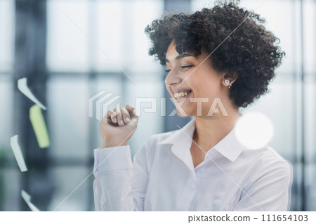 woman working on project plan using sticky papers notes on glass 111654103