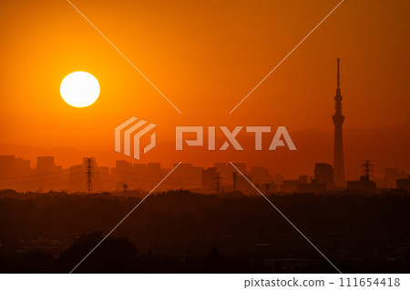 [Tokyo] Evening view of Sky Tree 111654418