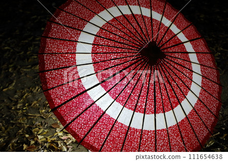 足利市的冬季夜晚燈火通明,充滿魔幻色彩。 足利市的冬季夜晚燈火通明,充滿魔幻色彩。 111654638