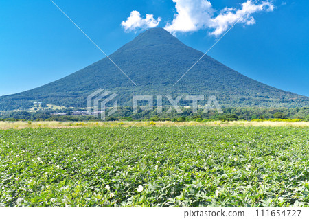 【秋葵田與開聞岳】拍照地點：鹿兒島縣指宿市開門川尻 111654727