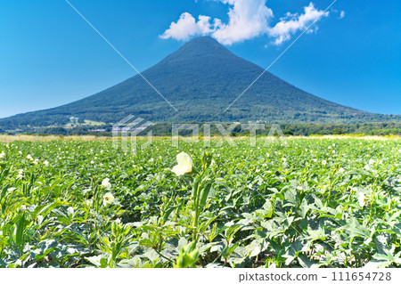 【秋葵田與開聞岳】拍照地點:鹿兒島縣指宿市開門川尻 【秋葵田與開聞岳】拍照地點:鹿兒島縣指宿市開門川尻 111654728