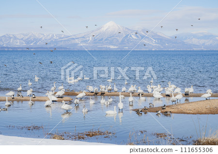 Fukushima Lake Inawashiro in winter (Aomatsuhama) 111655306