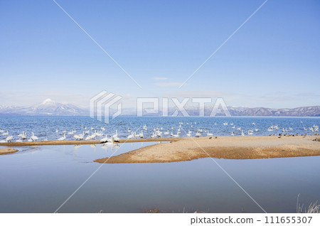 Fukushima Lake Inawashiro in winter (Aomatsuhama) 111655307