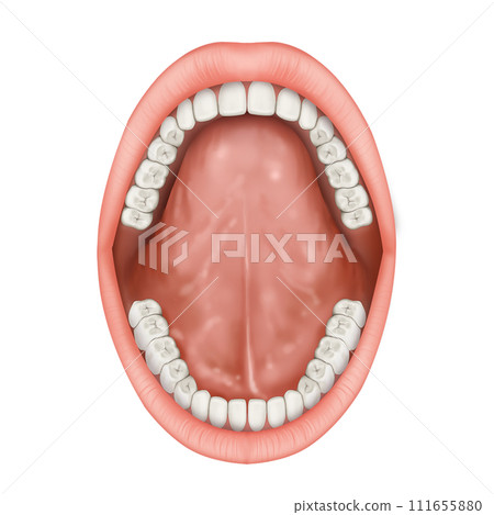 teeth braces, dentures, isolated on white 111655880