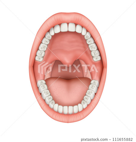 teeth braces, mirror, probe, with clipping path 111655882