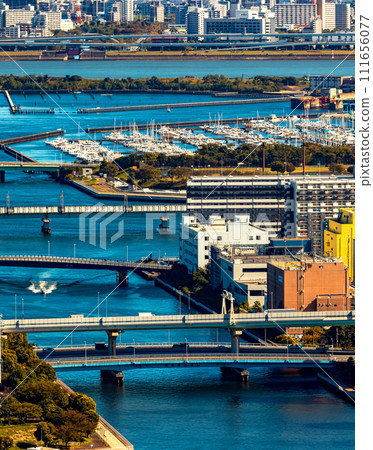 Odaiba and Tokyo Bay, Tokyo 111656077