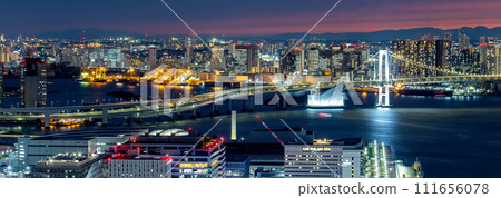 Odaiba and Tokyo Bay, Tokyo 111656078