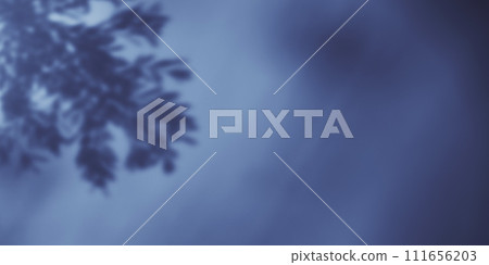 Shadow background of tree leaves - 3D 111656203