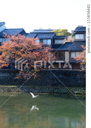 秋葉的金澤一町 111656481