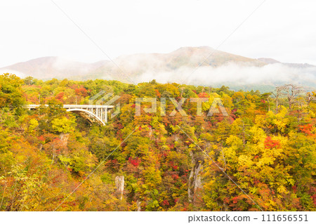 Naruko gorge of autumn leaves 111656551