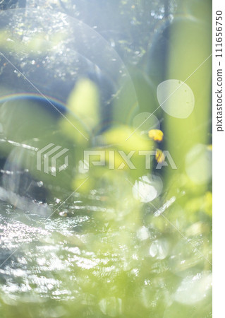 Sparkling fresh green eco image 111656750