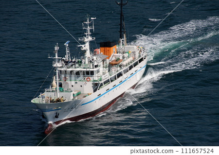 訓練船通過來島海峽大橋 111657524