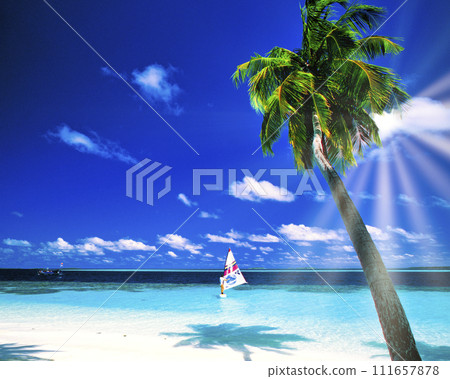 印度洋美麗的珊瑚礁海 印度洋美麗的珊瑚礁海 111657878