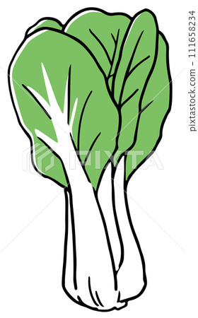 bok choy single color bok choy single color 111658234