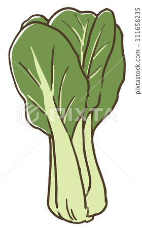 白菜 111658235