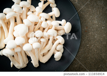 white beech mushroom or white reishi mushroom white beech mushroom or white reishi mushroom 111658914