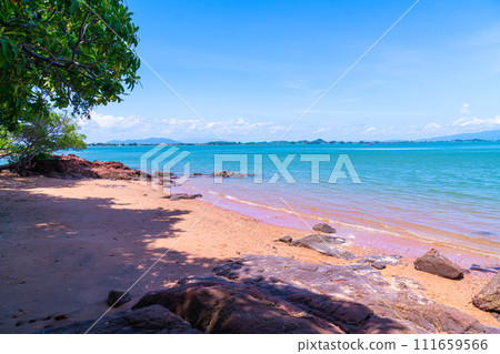 The Pink Coast or Lan Him Chomphu at Chanthaburi in Thailand 111659566