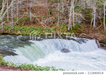 Sakura Waterfall Sakura Waterfall 111660014