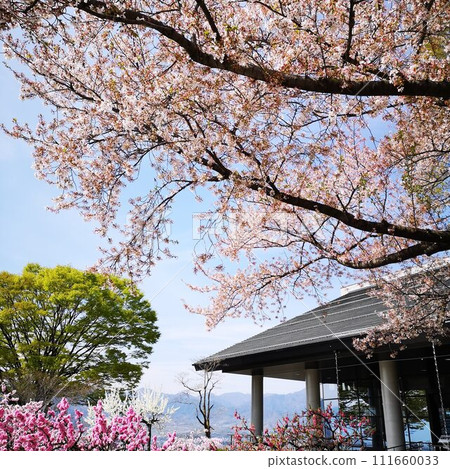 Sakura Shakado Ruins Museum Sakura Shakado Ruins Museum 111660033