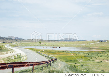 highway, steppe, mountains, horses in pond in summer day. Bayanaul National Park In Kazakhstan 111661420