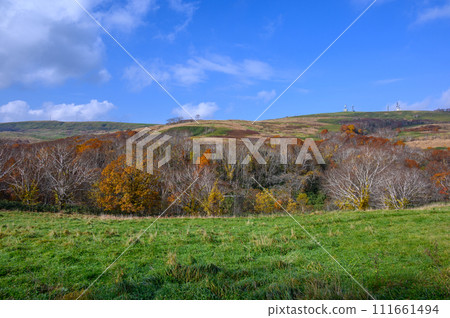 秋葉開始的山 111661494