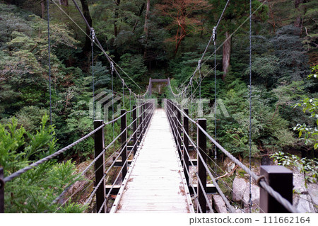 屋久島屋久杉樂園荒川大橋 屋久島屋久杉樂園荒川大橋 111662164