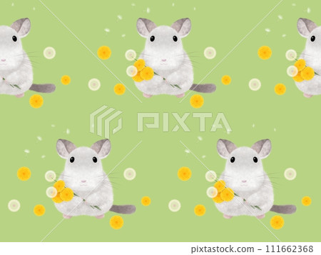 Chinchilla and dandelion seamless pattern B-3 - Stock Illustration