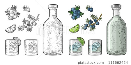 Glass and bottle gin, lime, branch juniper. Vintage vector engraving Glass and bottle gin, lime, branch juniper. Vintage vector engraving 111662424