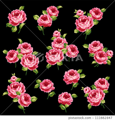 Beautiful rose vector illustration collection, 111662847