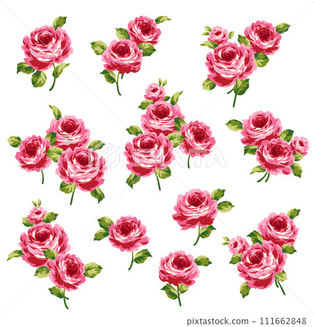 Beautiful rose vector illustration collection, 111662848