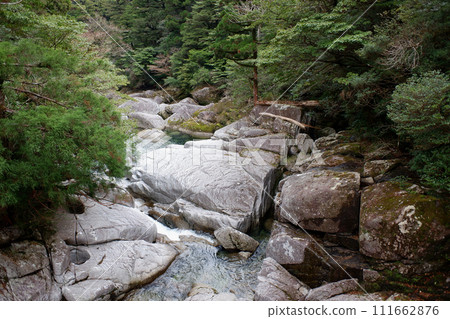 Yakushima Yakusugi Land Arakawa District Valley 111662876