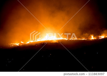 Wakakusa Yamayaki, a traditional event in Nara 111663097