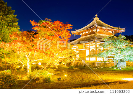 Kanoei autumn leaves Kanoei autumn leaves 111663203