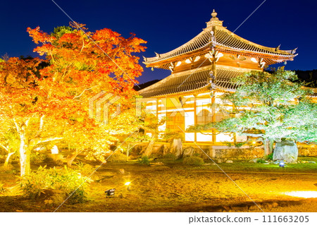 Kanoei autumn leaves Kanoei autumn leaves 111663205