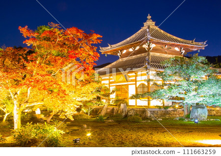 Kanoei autumn leaves Kanoei autumn leaves 111663259