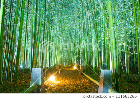 Kanoei autumn leaves Kanoei autumn leaves 111663260