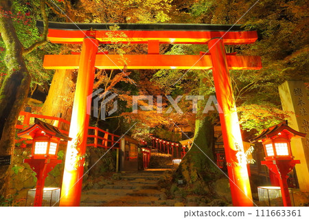 Kifune Shrine秋葉 Kifune Shrine秋葉 111663361