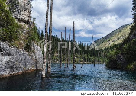 Landscape with Kaindy lake with blue water and a sunken forest with tree trunks in Kazakhstan in Tien Shan mountains in summer Landscape with Kaindy lake with blue water and a sunken forest with tree trunks in Kazakhstan in Tien Shan mountains in summer 111663377