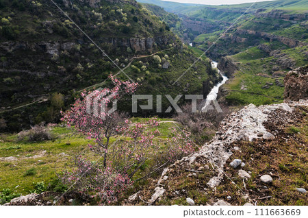 Panoramic view of Aksu canyon with a river in rocks in spring in Kazakhstan 111663669