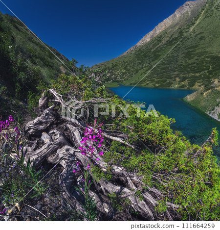 Panorama landscape with blue lake in mountains in summer. Koksai Ainakol Lake in Tien Shan Mountains in Asia in Kazakhstan Panorama landscape with blue lake in mountains in summer. Koksai Ainakol Lake in Tien Shan Mountains in Asia in Kazakhstan 111664259