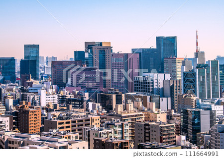 Tokyo cityscape in Japan, overlooking Tokyo Medical and Dental University. Akihabara on the left = February 14, 2020 Tokyo cityscape in Japan, overlooking Tokyo Medical and Dental University. Akihabara on the left = February 14, 2020 111664991