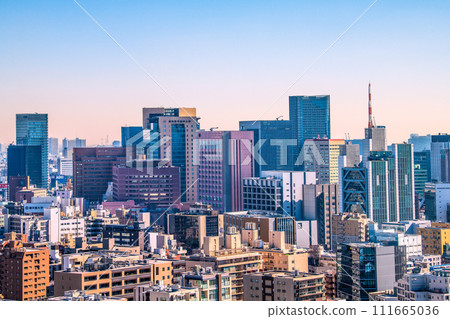 日本東京城市景觀,俯瞰東京醫科齒科大學。左邊秋葉原 = 2020 年 2 月 14 日 日本東京城市景觀,俯瞰東京醫科齒科大學。左邊秋葉原 = 2020 年 2 月 14 日 111665036