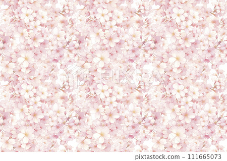 cherry blossom illustration wallpaper 111665073