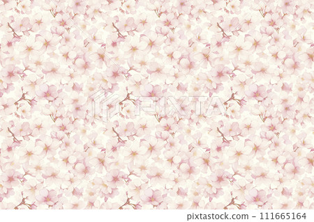 Cherry blossom watercolor style illustration wallpaper 111665164