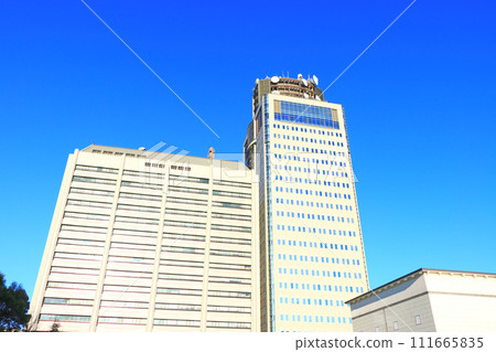 靜岡縣靜岡市靜岡縣政府公園風景 111665835