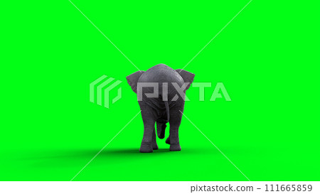African elephant idle. 3d rendering. 111665859