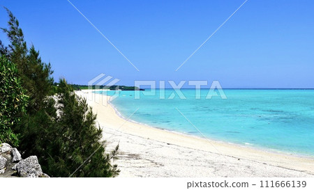 Seascape of Okanekyu coast in Yoron Island, Kagoshima Prefecture 111666139