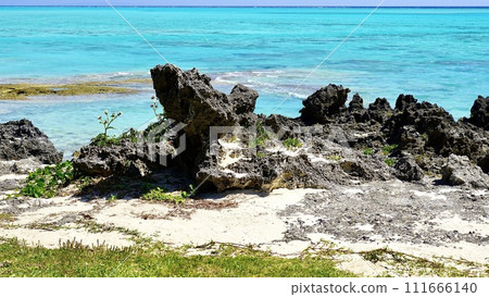 Seascape of Okanekyu coast in Yoron Island, Kagoshima Prefecture Seascape of Okanekyu coast in Yoron Island, Kagoshima Prefecture 111666140