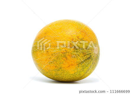 Ripe melon isolated on white background. Ripe melon isolated on white background. 111666699