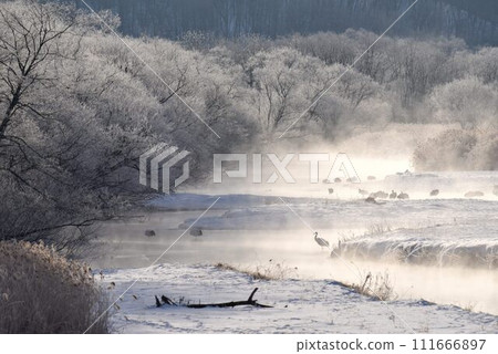 A midwinter storm of the Yukisa River seen from Otowa Bridge 111666897